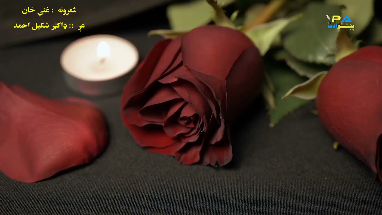 192 Pashto poetry (Ghani Khan) غنی خان