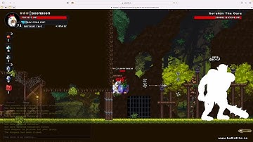 Walkthrough of the Ogre