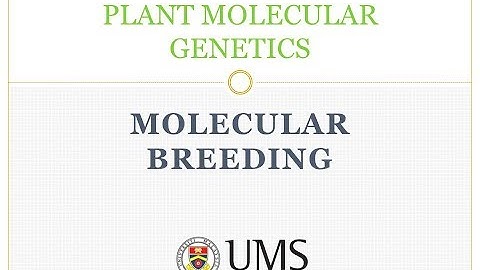 MOLECULAR BREEDING IN PLANTS