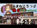 【 🦄🐍あまねこらっぱ旅行記🐨🌶 】 栃木って見どころなんぼでもあんねん！ #魔族さんといっしょ 💜 #vtuber #karaoke