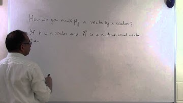Chapter 04.02: Lesson: How Do You Multiply a Vector by a Scalar?