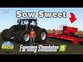 Sow Sweet - Will the New Equipment Work Out? | R2R Alma 34 | FS25