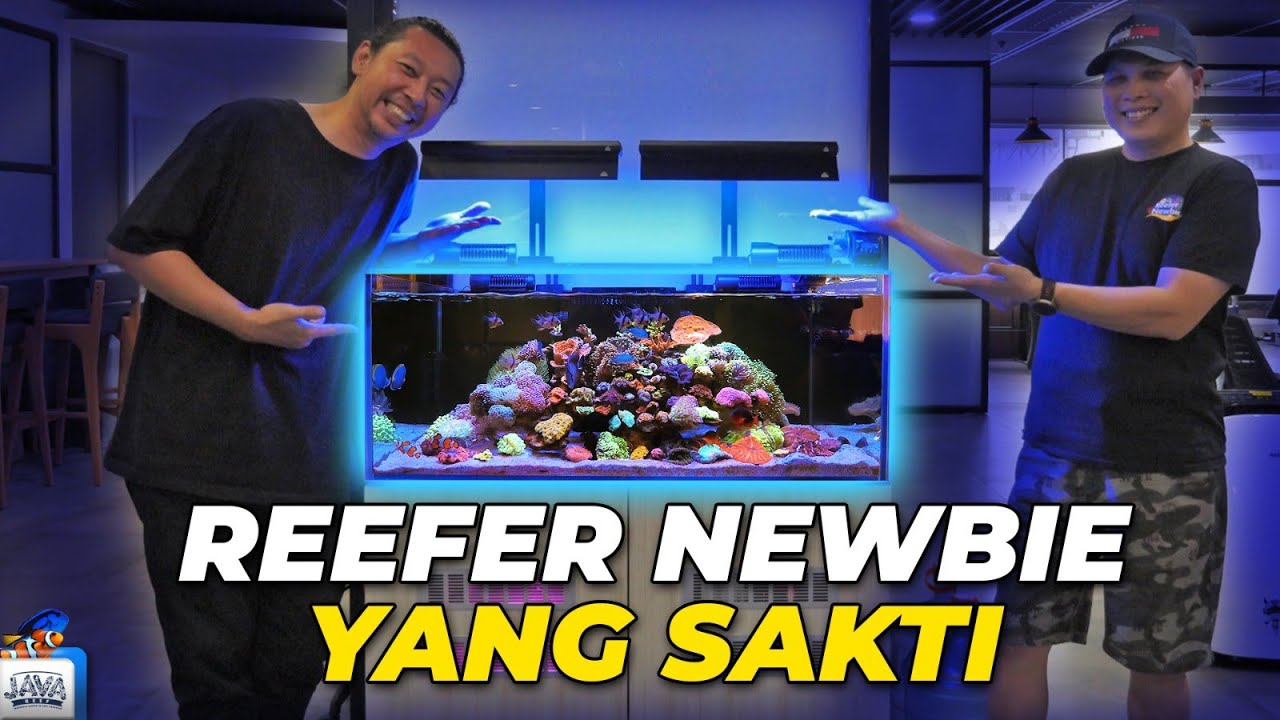 GREBEK REEFER PART 1 | REEFER NEWBIE YANG SAKTI PENGALAMAN SUDAH EXPERT