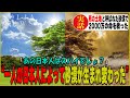 彼は最も敬服に値する日本人だ!一人の日本人が起こした奇跡の実話