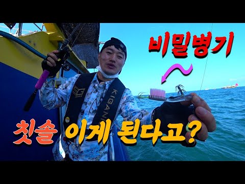 비싼 채비를 써야 쭈꾸미를 잘 잡는다고? 칫솔로 싹쓰리 가능!!