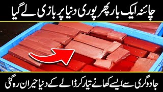 FAKE Chinese FOODS That May Kill You | Urdu Cover