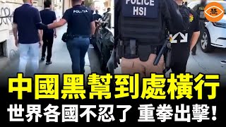 Download Lagu 中國黑幫慘了,義大利、澳洲、美國等終於不再忍了!重拳出擊…… MP3 Download Lagu 中國黑幫慘了,義大利、澳洲、美國等終於不再忍了!重拳出擊…… MP3