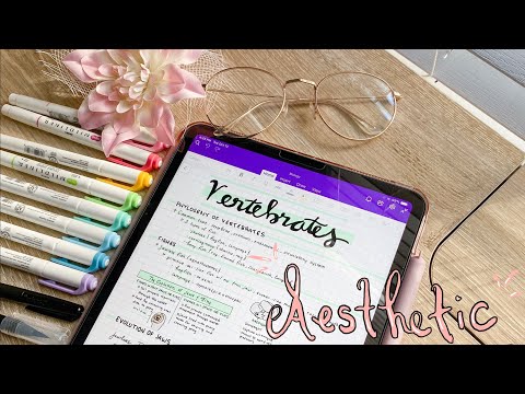 Come prendere estetici Note Con il mio iPad | Alternative a GoodNotes