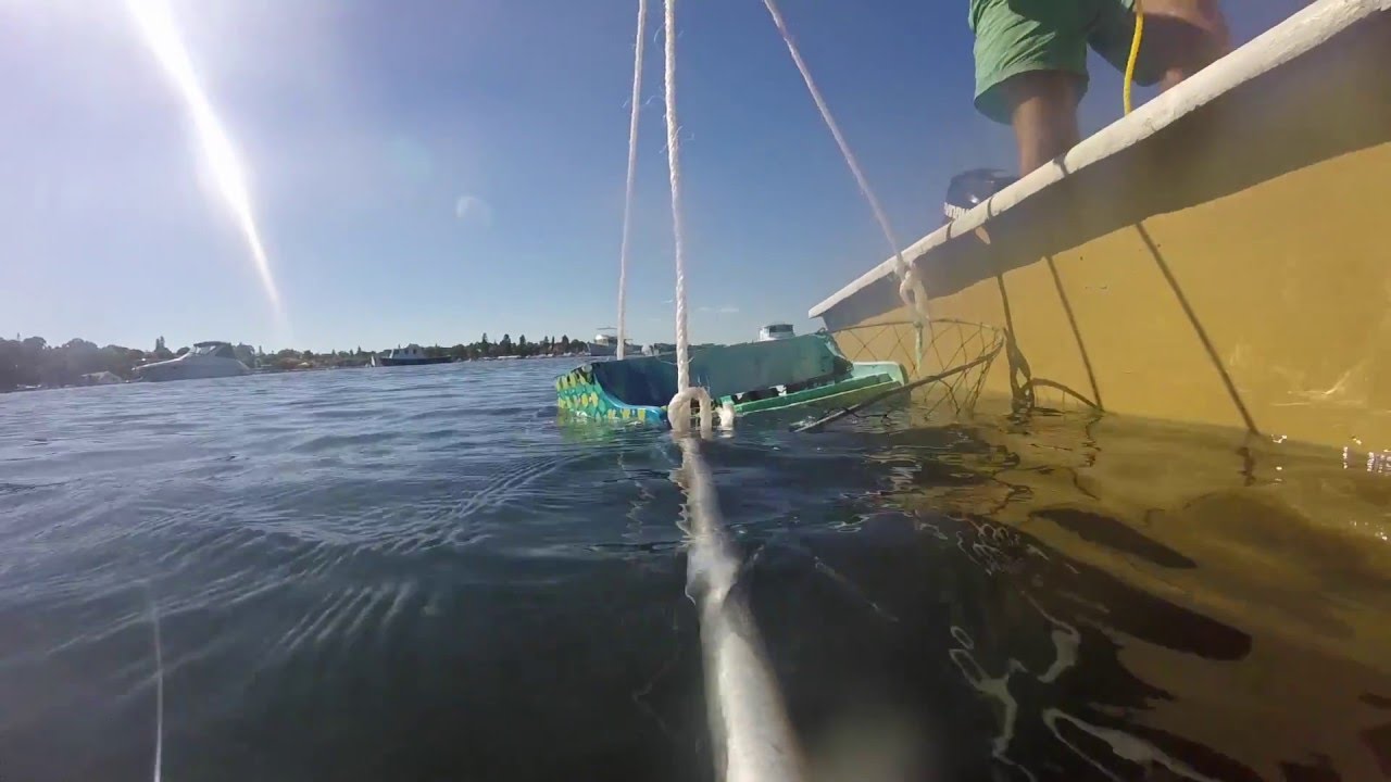 Wilson Tanner - Long Water (2016, Growing Bin Records)