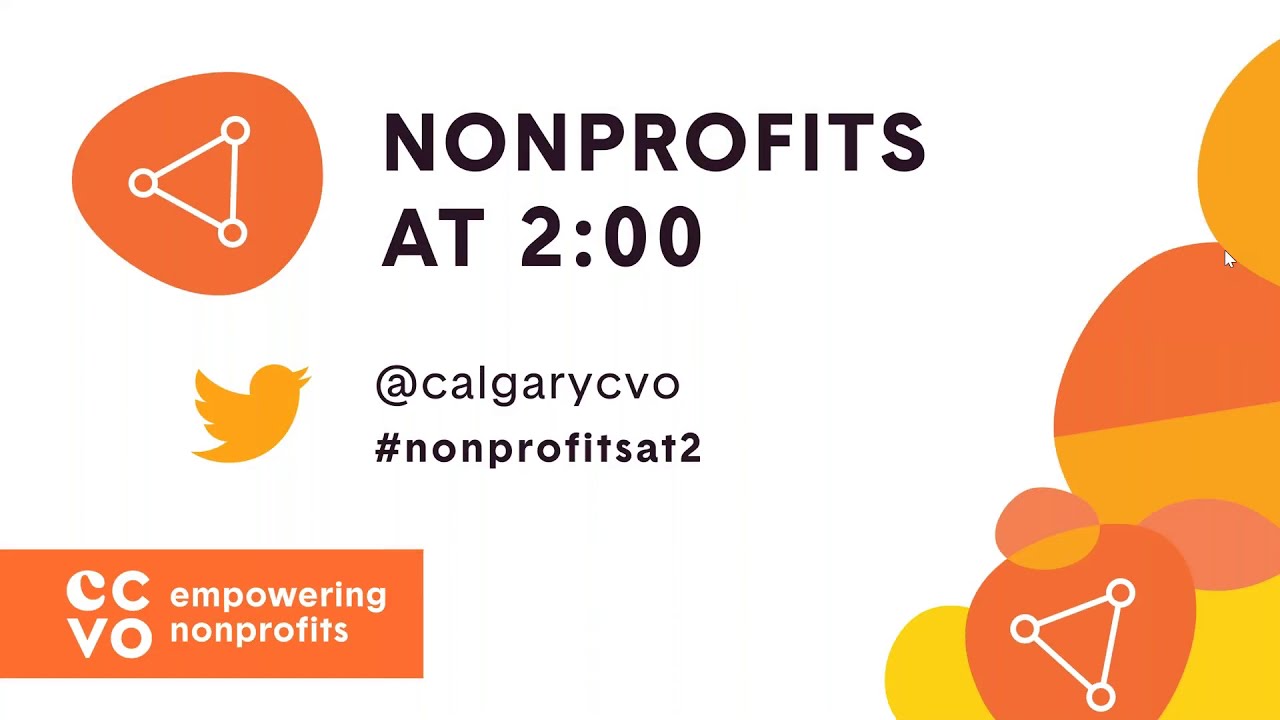 Systemic Racism and Diversity in the Nonprofit Sector