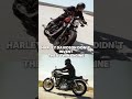 Why Did Harley Became Popular? #harleydavidson #harley #hellsangels
