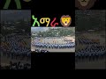 አፋብኃ ጎንደር Amara Fano Gonder Habesha Ethiopia Mesaymekonnen5 Zenatodaynews አፋብኃ ጎንደር Amara Fano Gonder Habesha Ethiopia Mesaymekonnen5 Zenatodaynews