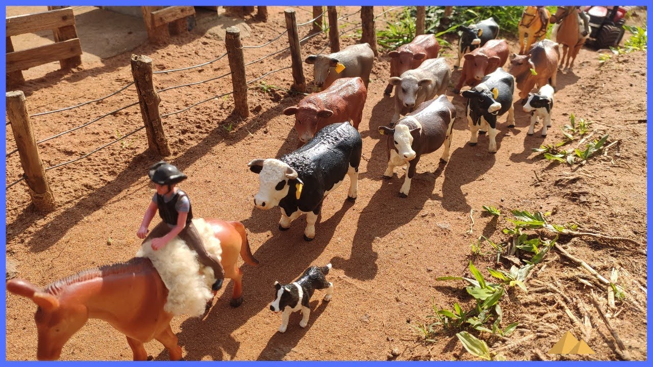 RUMO A FAZENDA: TOCANDO A BOIADA PELA ESTRADA 