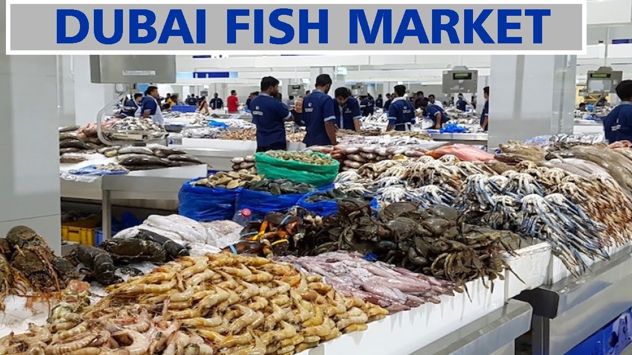 Dubai Fish market waterfront fish market New deira fish market