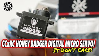 CCxRC Honey Badger Digital Micro Servo. It's SMALL, but it DON'T CARE!