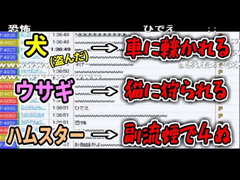 よっちゃんが飼う動物には必ず不幸が訪れる話【2013/08/12】