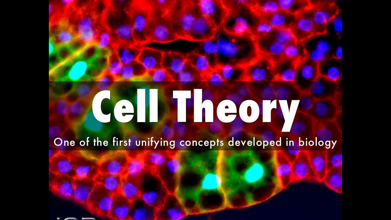 CELL THEORY YouTube