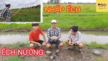 KÊNH XÓM TV | NHẤP ẾCH MÙA NƯỚC NỔI VÀ LÀM MÓN ẾCH NƯỚNG MỌI