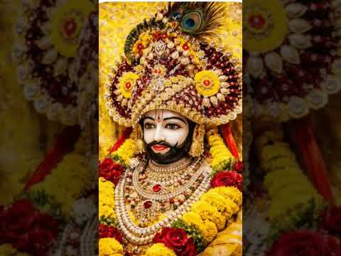 shyam baba bhajn ❤️ #shyam #shotsvideo #trending #viralvideo