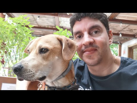 2022 Decisões fáceis para negócios difíceis. Entenda:
