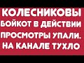 Колесниковы/ Бойкот в действии. Просмотры упали. на канале тухло. // Обзор видео//