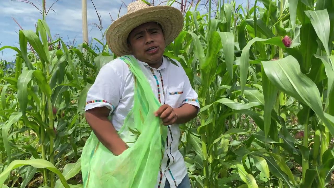 CHIPILIN Iuan AYUTZIN autor  Ortiz del pueblo 