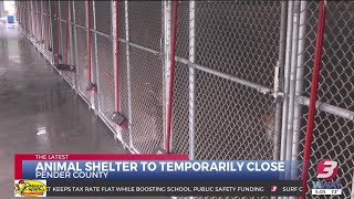 Pender County Animal Shelter asks community to adopt, foster ahead of temporary closure