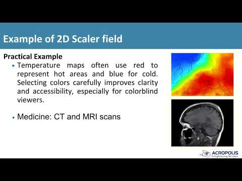 Visualization of 2D/3D Scalar Fields | Full Presentation