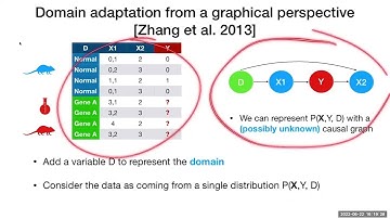 ICAI MMLL webinar V Causality-inspired ML: what can causality do for ML? The domain adaptation case.