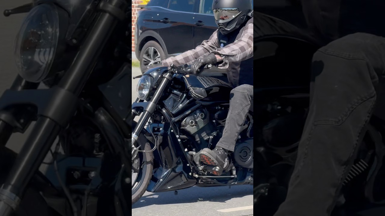 Harley Night Rod Special