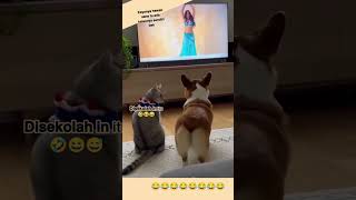 #hewancerdas #viral #fypシ゚ #hewanpeliharaan #hewanunik #headshot #hewanlucu #keunikanhewan