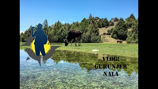 Gurunjer Nala Vlogghizergilgit-Baltistan Day-1
