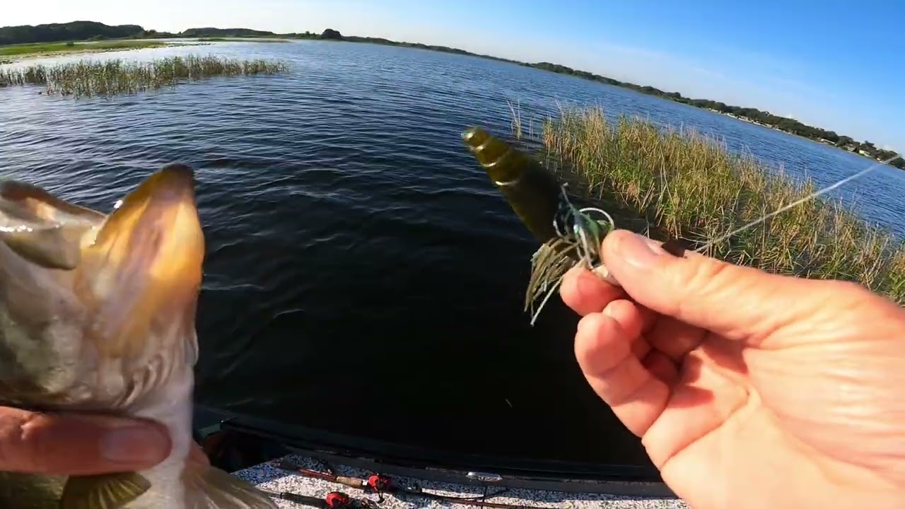 Typical Lake Hernando Bass Fishing