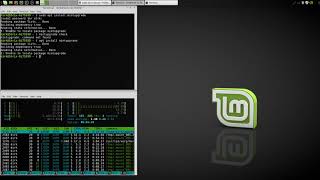 Upgrading LinuxMint 18 to 19 - Shame on you Linux Mint - what a disgrace