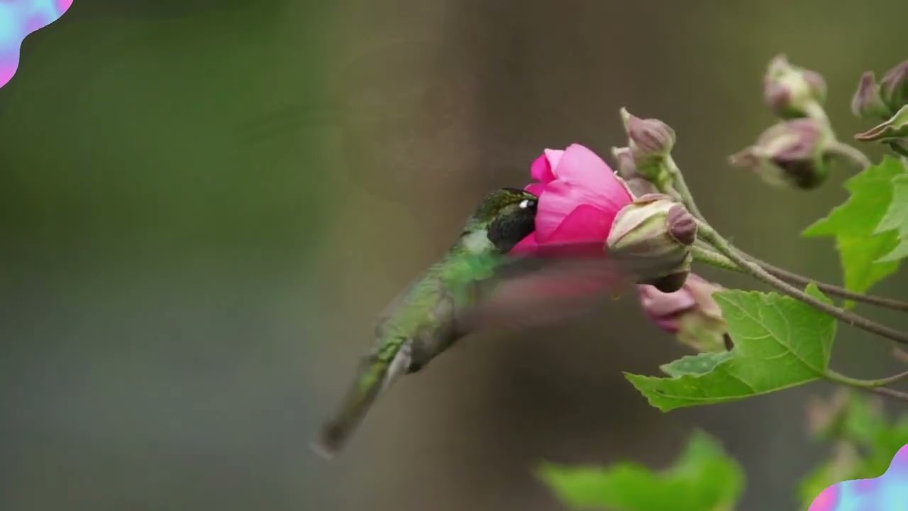 SEO - On page seo techniques | www.heavenlyhomes.com