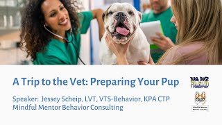 A Trip to the Vet: Preparing Your Pup 4132024
