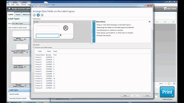 How to use the Import Data and Print function in DYMO Label Software?