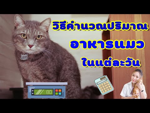 วีดีโอ: ประเภทอาหารสำหรับแมวโตและลูกแมว: คำอธิบายของสายพันธุ์และประเภทการจำแนกตามความสม่ำเสมอแห้งและเปียกอายุและอื่น ๆ