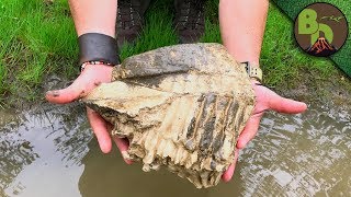 Did We Find a MAMMOTH TOOTH?!