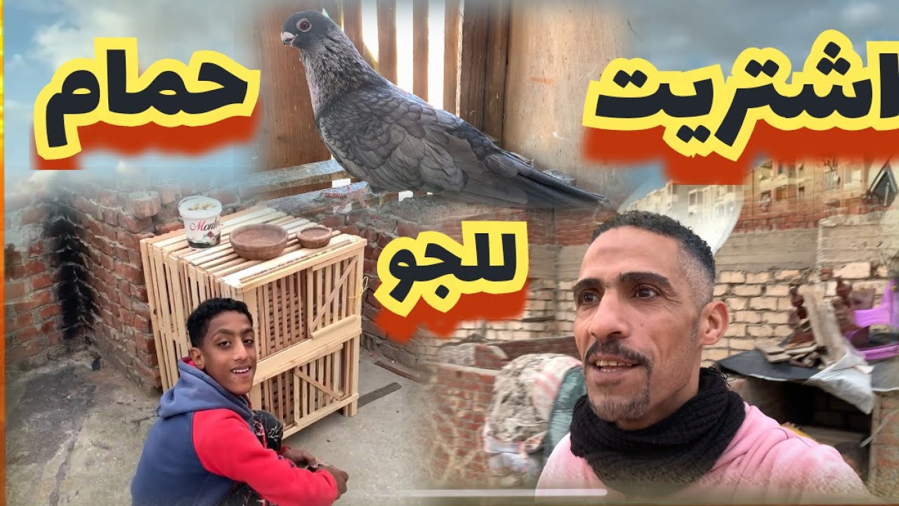 شوف اشتريت اى للچو وهو فرحان