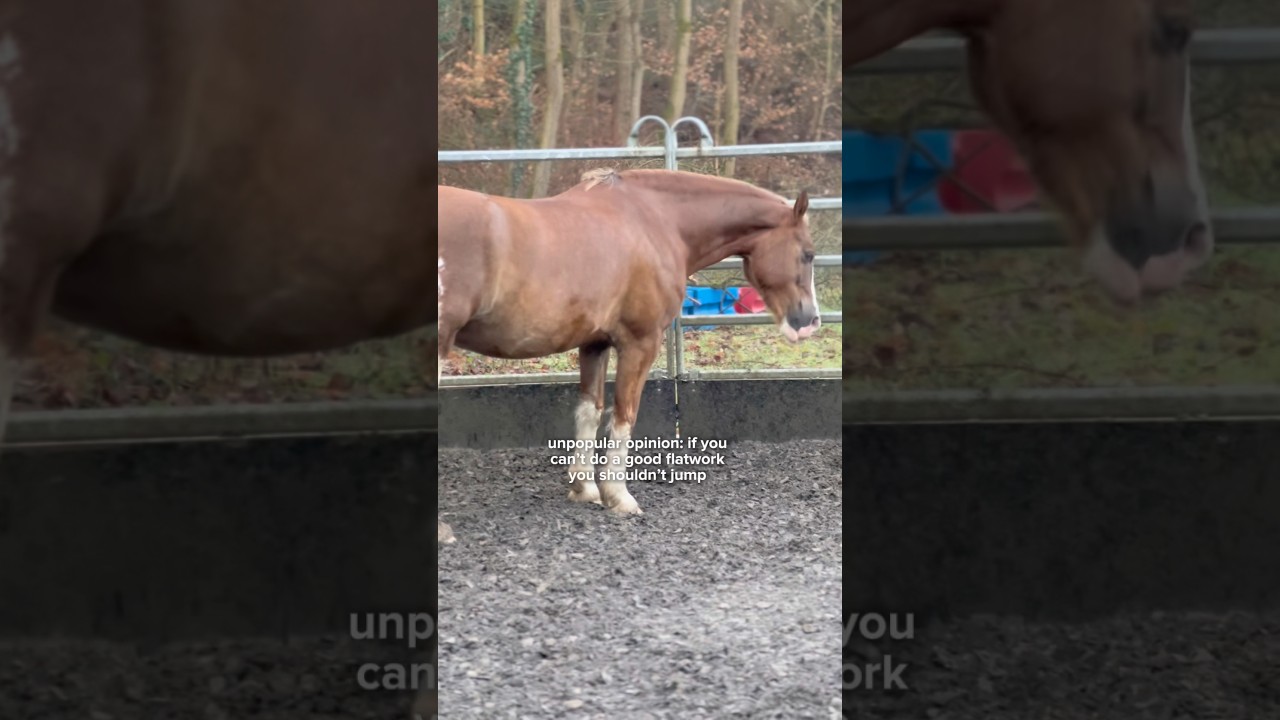 My opinion 🤷🏻&zwj;♀️ #horse #unpopularopinions #equestrian #viral  #trending #shorts #foryou #fypシ