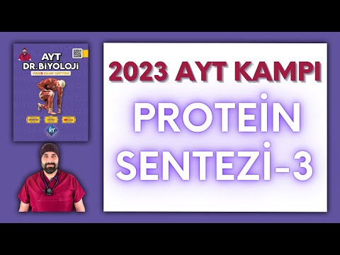 Genden Proteine-3 AYT Biyoloji Kampı Konu Anlatımı/ 12.Sınıf 2024 Tayfa