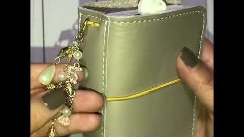 Micro Cookie Foxy fix Wallet set up