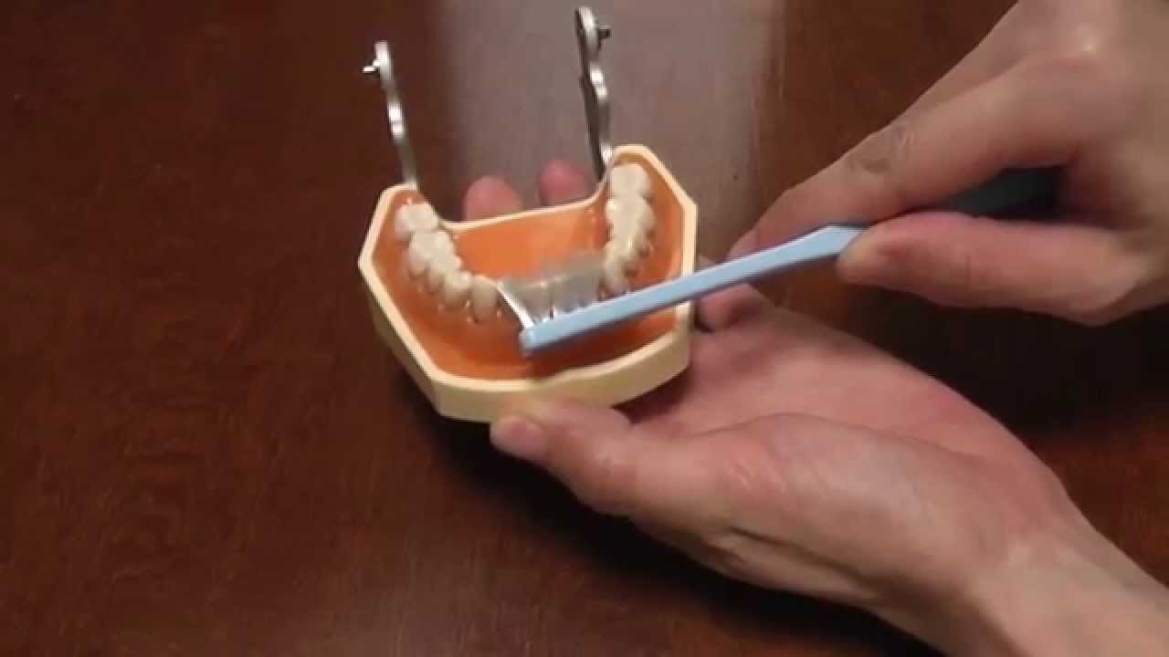 正しい歯みがきのすべて３ ひぐち歯科クリニック 大阪府 阪急茨木市駅前 歯医者