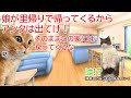 【スカッと猫ミーム】この家のローンを誰が払っているのか知らない義母が「里帰り出産で娘が帰ってくるから出て行け！」と追い出そうとするので家具家電すべて売り払って引っ越してやった話【スカッと】