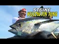 Berburu yellow fin tuna  lemadang di laut morotai  mancing mania strike back 170623 part 1