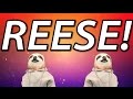 HAPPY BIRTHDAY REESE! - SLOTH HAPPY BIRTHDAY RAP