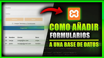 Como Conectar un Formulario Con una base de datos PHP y mostrar resultados