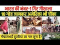 Gopal Sutariya की World Class बंसी गिर गौशाला। 25 लीटर दूध देने वाली गाय का फॉर्मूला। No 1 Breeder👍