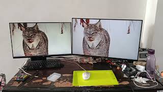 (27-inch vs. 24-inch Monitor) Xiaomi 27 vs. LG 24 Size Comparison